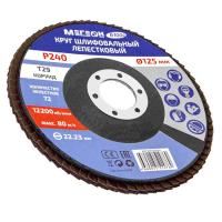 Круг шлифовальный лепестковый комплект МЕГЕОН 61004-10